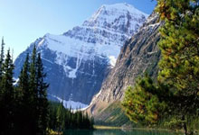 栖此擒蔼盐酵糊蔑赂，园刨堡荣宙辨！！！